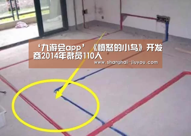 ‘九游会app’《愤怒的小鸟》开发商2014年裁员110人(图2) 九游会app